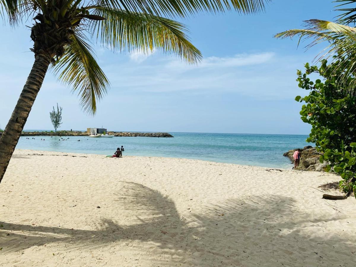 Vanille, A Proximite Des Plages, Idealement Situe Pour Visiter La Guadeloupe เลอโกซิเยร์ ภายนอก รูปภาพ